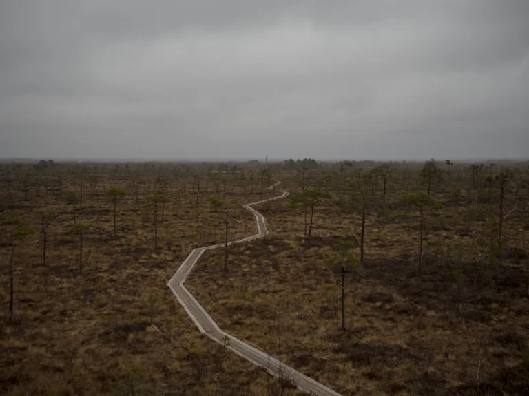 Enne nädalavahetust kontrolli Eesti tuleohukaarti