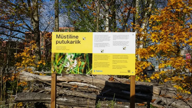 Haridusteema avab Tallinnas linnajuhtide töönädala